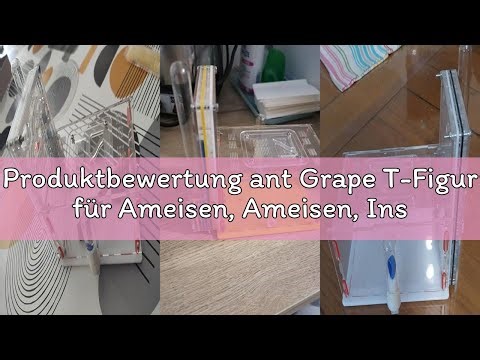 Produktbewertung ant Grape T-Figur für Ameisen, Ameisen, Insekten, Villa Mania für Haustiere, für Am