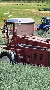 Amazing grass chopper #grasssilage #grasschopper #agriculturelife #bigmachines #silage | Big Machines