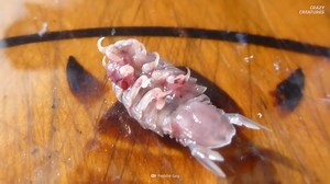 The unseen war between parasites and their hosts