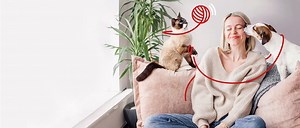 Assurance chien et assurance chat Generali Santé Animal