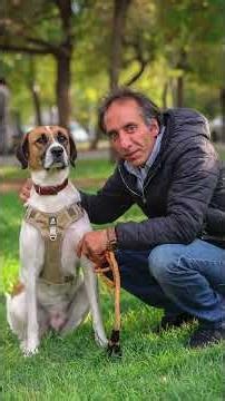 Դիմավորեք! Շելբի և Կարո!🐶📸 #armdogphoto