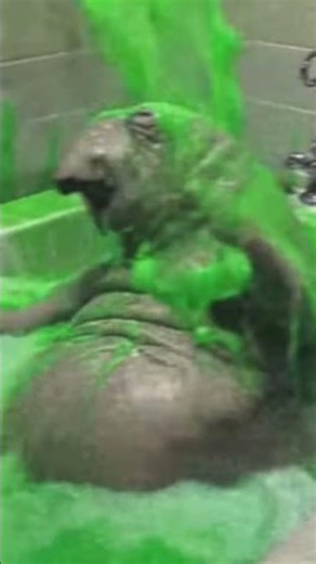 Wash the snorp