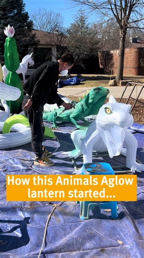 What a glow up! Just TWO WEEKS LEFT of the Animals Aglow lantern festival. The displays lighting up paths throughout the Zoo include many lanterns that were constructed and painted on site! Animals Aglow runs from 6:30 to 9:30 p.m. Wednesdays through Sundays through May 5. Tickets at stlzoo.org/animalsaglow. | Saint Louis Zoo