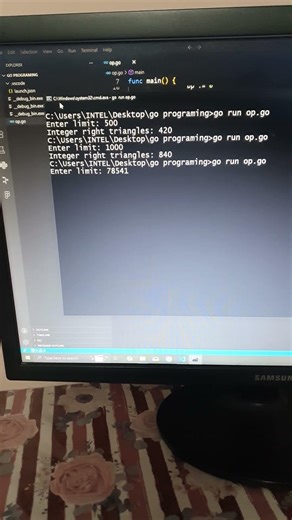 Go | Euler project 'Integer right triangles' | CodeLearning