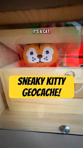 Sneaky Kitty Gadget Geocache! #geocaching #geocache #gadgetcache