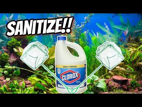 Ultimate Guide: Sparkling Clean And Sanitized Aquarium Nets
