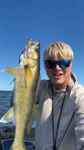 Mid summer/ walleye deep basin pattern