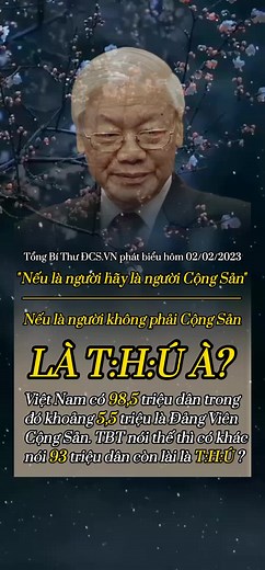 Tribute to Tông Bì Thường: Remembering on 20.02.2023