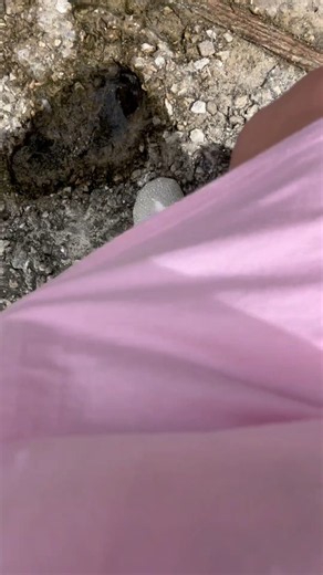 Watch Barefoot shoes for a beach adventure on Amazon Live