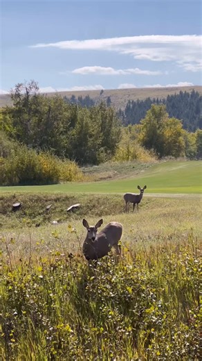 Steph Rayner on Instagram: "Manifesting more of this in 2026 ✨"