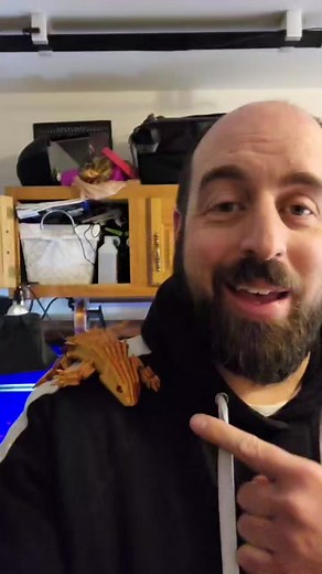 #3dprinting #lizard #oddlysatisfying #cute