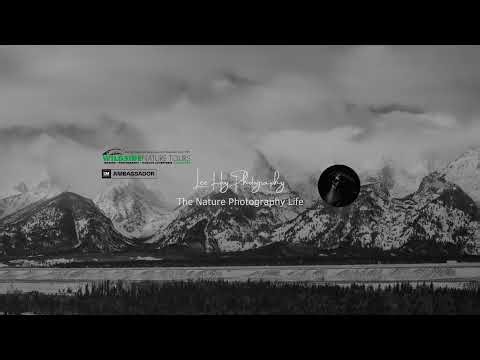 YouTube Live with Lee Hoy - OM System & FotoPro Ambassador