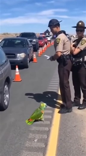 42K views · 1.7K reactions | why you block my road列 | Random Sparks | Facebook