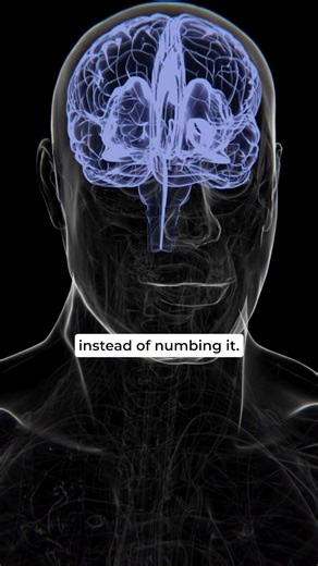 Why I Built LUSHIM — From Burnout to Balance