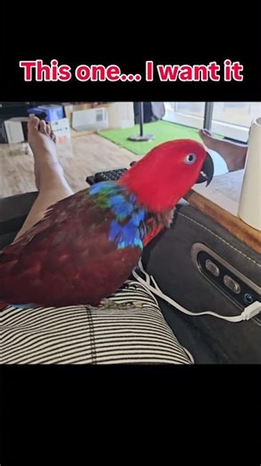 I'll just help myself mum