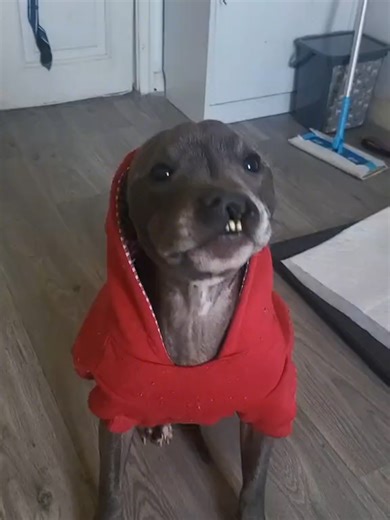 DO YOU AGRREEE??????????????????????????