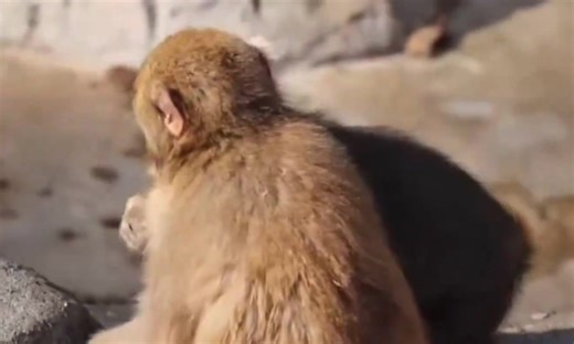#punchkun #punchi #punch #babypunch | baby boy punch scene