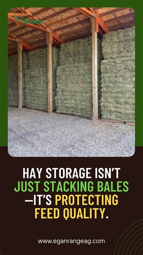 Great hay can lose value in poor storage. Keep bales fresh by: ✔ Elevating them off damp ground ✔ Using tight covers with airflow ✔ Spacing stacks for ventilation ✔ Checking condition often Smart storage keeps your herd fed with quality forage all season long. Learn more at https://www.eganrangeag.com #HayStorageTips #ForageCare #FarmSmart #LivestockNutrition #ShaneSouza | Shane Souza