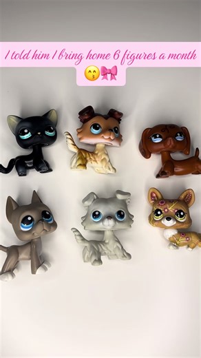 I mean I wasn’t lying 😅 #littlestpetshop #lpscommunity #lpscollector #lps #nostalgiacore @Littlest Pet Shop