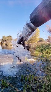 Lake Camanche Trout Plant Alert! 🌊🌅🐟 3,000lbs of 🌈🐟 were planted between three locations! 1,000lbs: SS Pond 1,000lbs SS Ramp 1,000lbs NS Ramp Come and get them, stocking season is HERE at Lake Camanche! Book a stay today: golakecamanche.com - 209-763-5121 | Lake Camanche