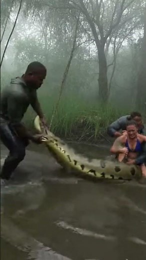 Woman Feeds Giant Python – Then Horror Strikes