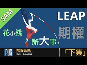 巧用LEAP期权缓解投资资金压力[下] | LEAP Option Explained - pt 2