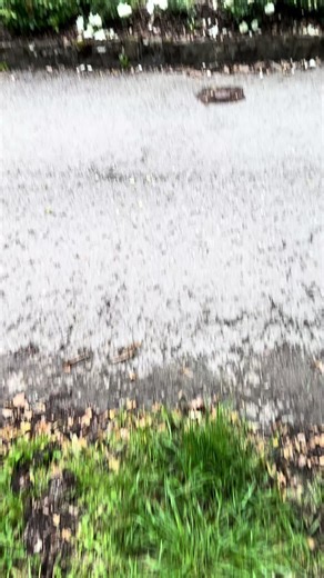 Explorando el Passat VR5: Características y Rendimiento