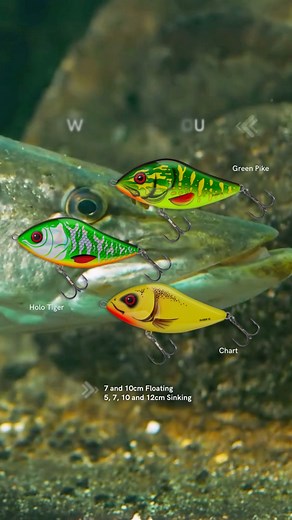 A legend among pike lures, the Slider will tempt the weariest of pike. With three colours coming into the range in both floating and sinking versions, you now have more options than ever with this proven fish catcher 🎣 #lurefishing #salmo #fishinglife #fishingtips | Salmo