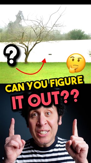 Can you figure out this optical illusion??ðŸ¤” If you like puzzles, optical illusions and magic, I'm on tour in 2026 with a brand new live show featuring all that good stuff! GRAB TICKETS NOW via the link in the comments below or in my bio. ðŸ‘‡orðŸ‘† #magictrick #magician #opticalillusion #fyp | Pete Firman