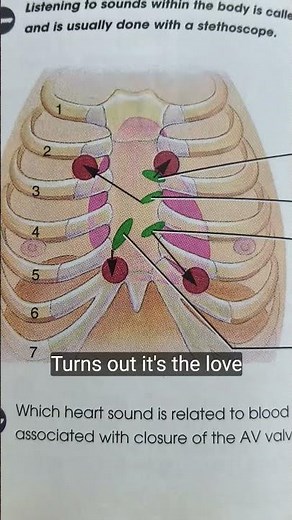 Listen #Heart Sounds