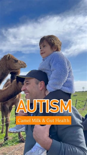 Autism therapies & hope worldwide on Instagram: "A Few Recent Research Findings on Camel Milk’s Role in Gut Health… Although human studies on the gut health benefits of camel milk are still limited—aside from several studies reporting positive behavioral changes in children with ASD (and we know that positive behavioral changes in our kids often reflect improvements in internal health, particularly gut health)—animal research has shown significant improvements in gut health and microbiome compos