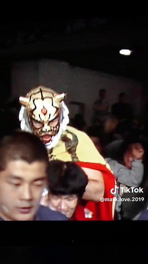 Tiger Mask 1981 - Satoru Sayama's Legendary Wrestling Persona