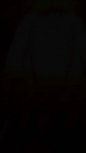 The Fire Hashira #rengoku #demonslayer