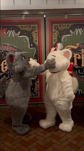 Playful Aristocats in their Christmas best at Disneyland! 🎄😸