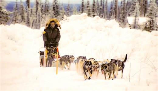 Sirius Dog Sled Patrol: Οι «αόρατοι φρουροί» της Γροιλανδίας που κάνει κάνει πέντε μήνες περιπολία ακόμα και στους -55 βαθμούς Κελσίου - Γιατί τα έλκηθρα με σκύλους κάνουν τις υπερδυνάμεις να ιδρώνουν στον πάγο - HuffPost - Ειδήσεις και Απόψεις από την Ελλάδα και τον Κόσμο