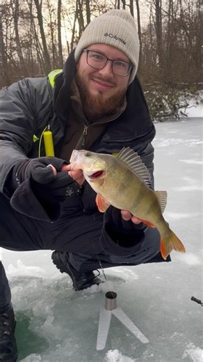 How to catch a perch 🎣👇 Watch till the end! #icefishing #perch #fishing #snow #fy