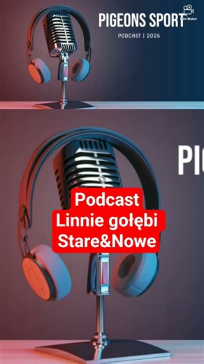 LINNIE GOŁĘBI SPORTOWYCH.KTÓRE SĄ LEPSZE?