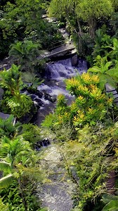 1.1K views · 56 reactions | Soak in our natural hot springs while taking in the breathtaking natural beauty that surrounds you. #TabaconExperience #HotSprings #CostaRica | Tabacon Thermal Resort & Spa | Facebook