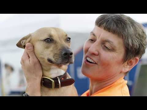 We Are PetSmart Charities