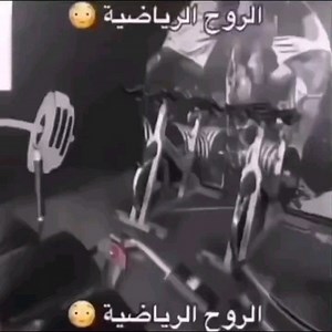 Arabian Memes on Reels