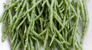 Fish Farm Fuels Etihad Flight | Marine Science | Aquaculture