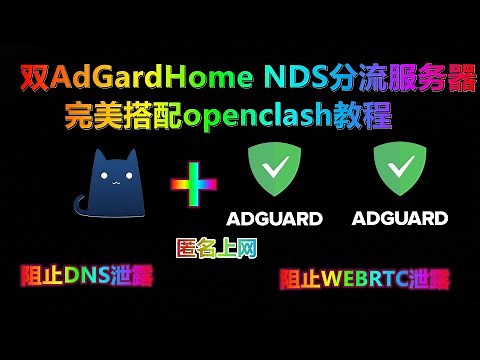 双AdGardHome NDS分流服务器完美搭配openclash教程，有效阻止DNS泄露，WEBRTC泄露IP问题！精准解析，提升打开网页速度（DNS分流服务器/DNS优化/秒解析/DNS泄露）