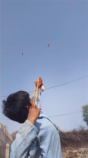 amazing birds hunting with slingshot #birds hunting #hunting #hunting birds #slingshot #birds