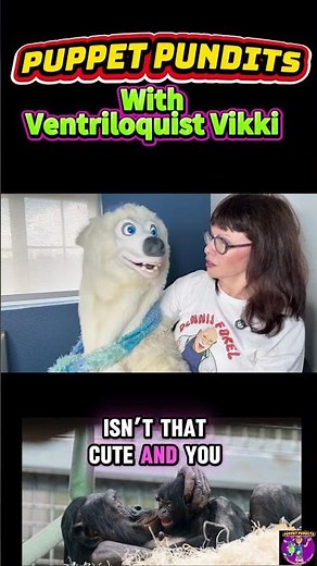 Columbus Zoo: Bonobo Birth an Endangered Species! #shorts