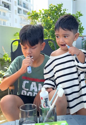 ប្តូរបរិយាកាសបោះតង់នៅផ្ទះ