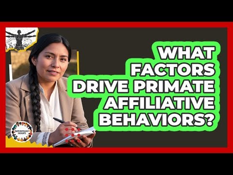What Factors Drive Primate Affiliative Behaviors?