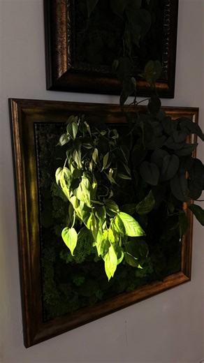 Exploring Biophilic Design with Moss Aesthetics