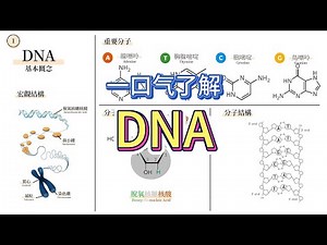 分子生物学 EP01 - 生命的蓝图DNA