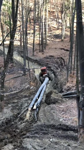 3K views · 58 reactions | Logger work with timberjack 漢蝹量 . . . . #foryoupageシ #brotherhood #fyp #love #tbt #logging #usa #today #machine #equipment #history #historia #logger #woodwork #wood #trees #timber #comedy #realestate #reallife | Peake Warren | Facebook