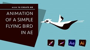Animation of a simple bird in After Effects | Pidio . | Skillshare